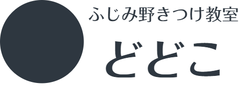 ふじみ野着付け教室どどこ